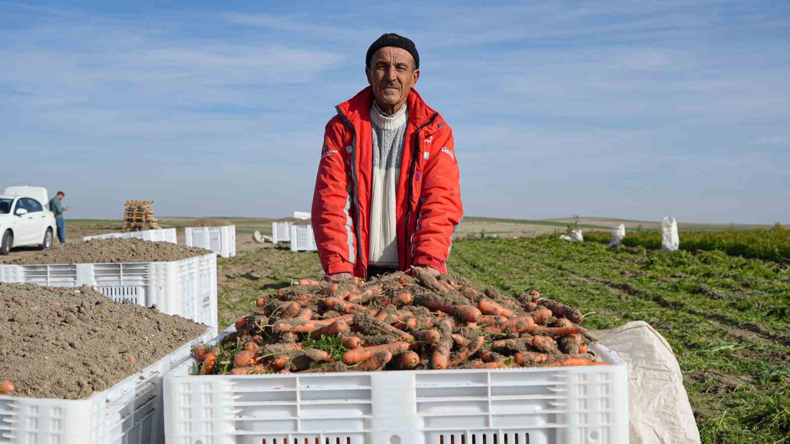 beypazarinda hummali havuc mesaisi basladi donume 10 ton urun bekleniyor 0 nW2Zbg4n