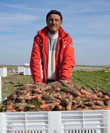 beypazarinda-hummali-havuc-mesaisi-basladi-donume-10-ton-urun-bekleniyor-8Stw6WJH.jpg