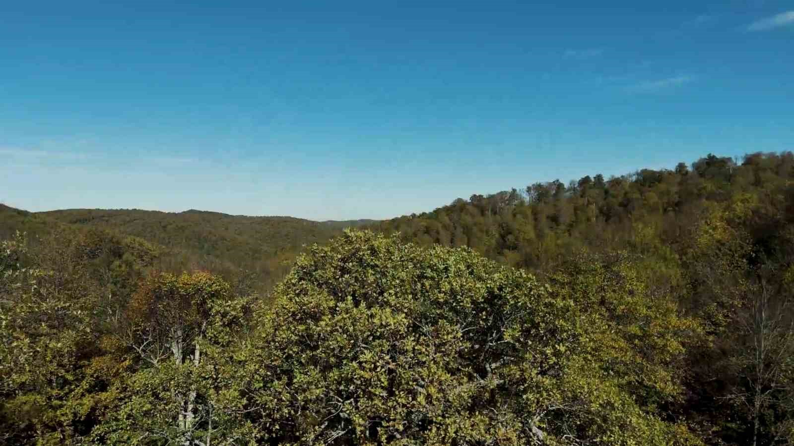 bigada sonbahar renklerine burunen ormanlar havadan goruntulendi 2 Z4eV6mKf