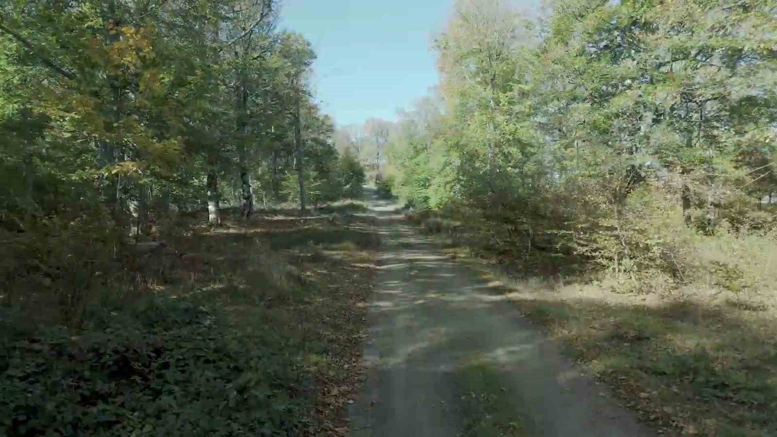 bigada sonbahar renklerine burunen ormanlar havadan goruntulendi 3 9h27utit