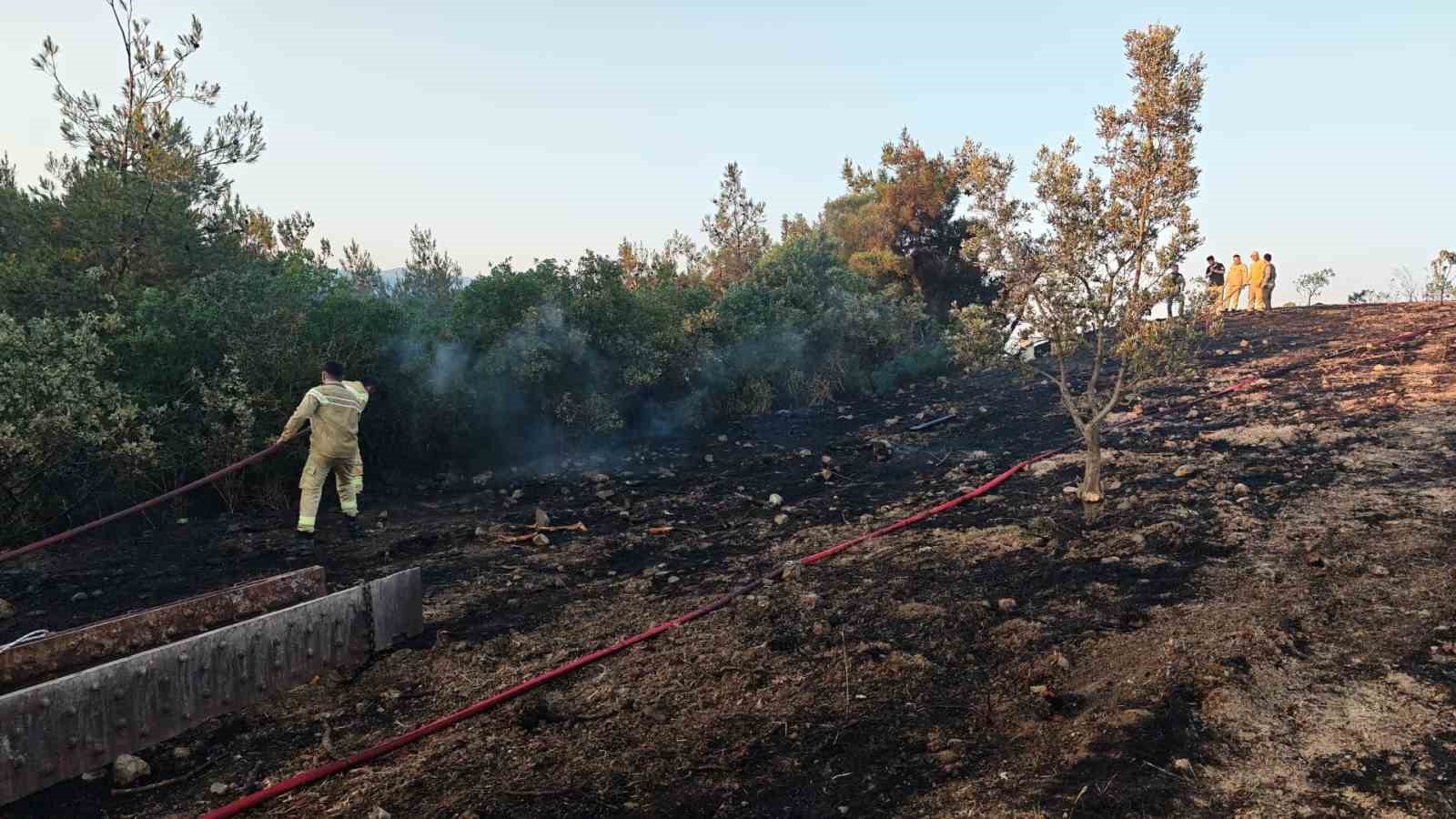 bilecik sinirina yaklasan alevler kontrol altina alindi 2 jYAf5TtN