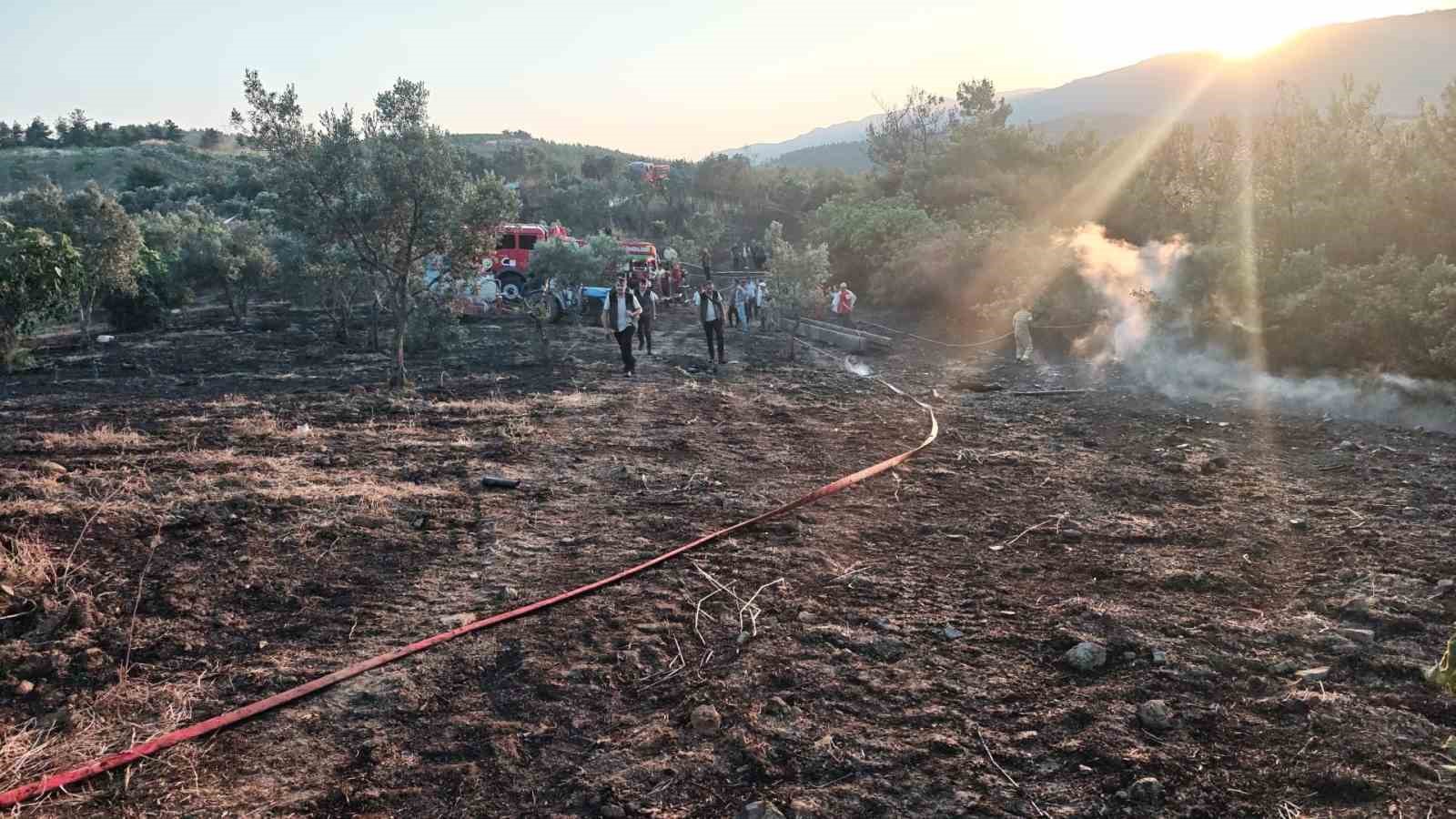 bilecik sinirina yaklasan alevler kontrol altina alindi 3 mIHHOyai