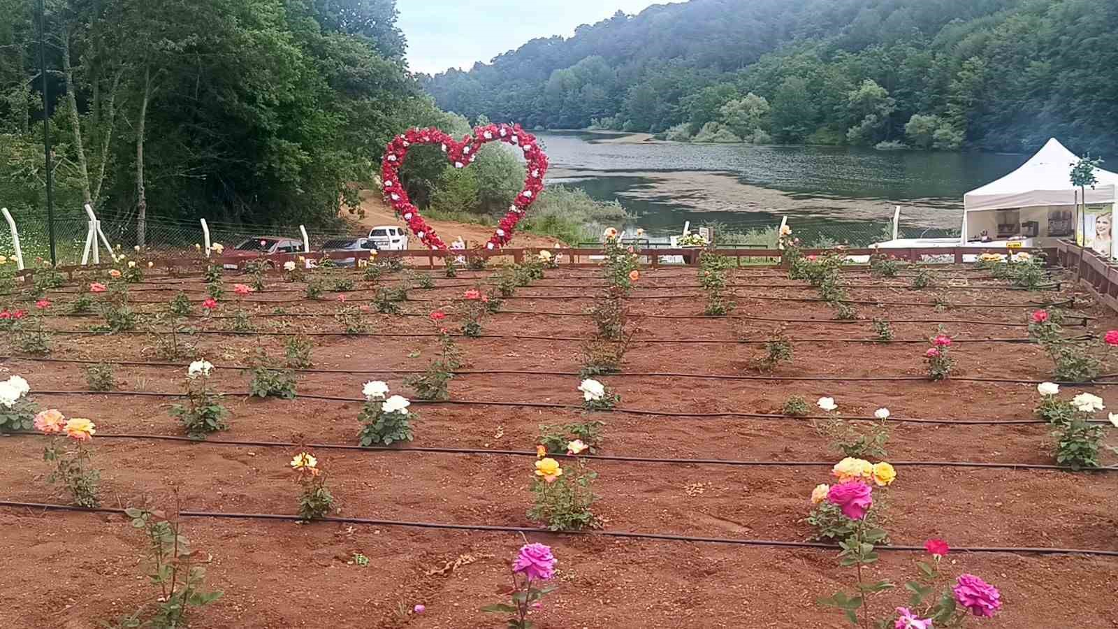 Bilecik’in ilk gül bahçesinde 40 renkte gül yetişiyor 5 bilecikin ilk gul bahcesinde 40 renkte gul yetisiyor 1 EY5Q3jWO