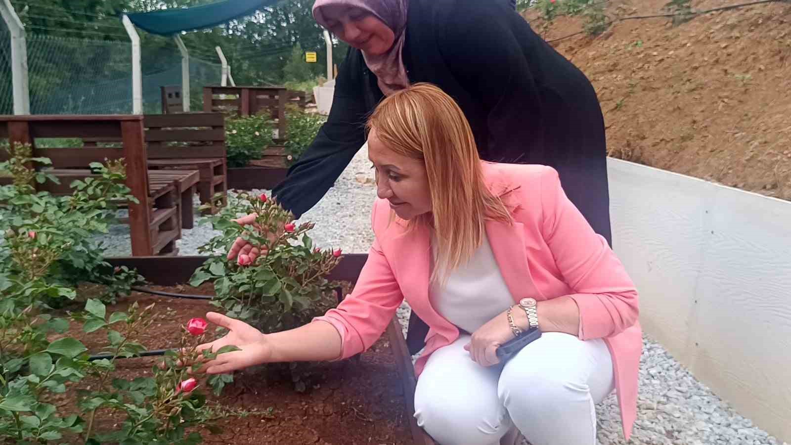 Bilecik’in ilk gül bahçesinde 40 renkte gül yetişiyor 7 bilecikin ilk gul bahcesinde 40 renkte gul yetisiyor 3 NIg6t5hP