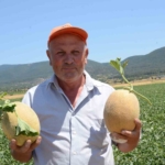 bilecikin-unlu-medetli-kavununun-hasadi-basladi-2ECdPZGp.jpg