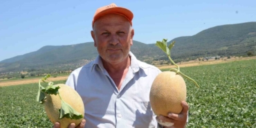 bilecikin-unlu-medetli-kavununun-hasadi-basladi-2ECdPZGp.jpg
