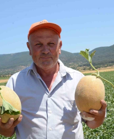 bilecikin-unlu-medetli-kavununun-hasadi-basladi-2ECdPZGp.jpg