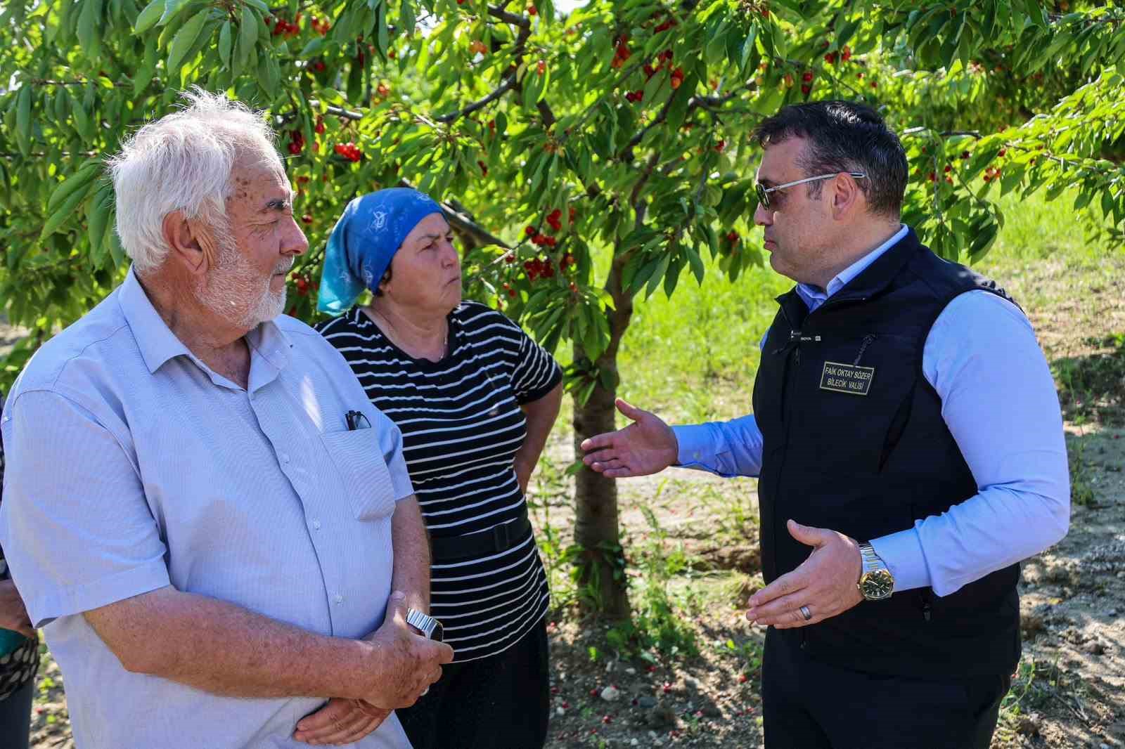 Bilecik’te 27 bin dekarda yıllık yaklaşık 15 bin 500 ton kiraz üretimi 7 bilecikte 27 bin dekarda yillik yaklasik 15 bin 500 ton kiraz uretimi 3 qeJrAFLB