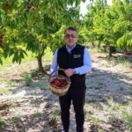 bilecikte-27-bin-dekarda-yillik-yaklasik-15-bin-500-ton-kiraz-uretimi-8wAEteLa.jpg