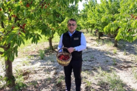 bilecikte-27-bin-dekarda-yillik-yaklasik-15-bin-500-ton-kiraz-uretimi-8wAEteLa.jpg