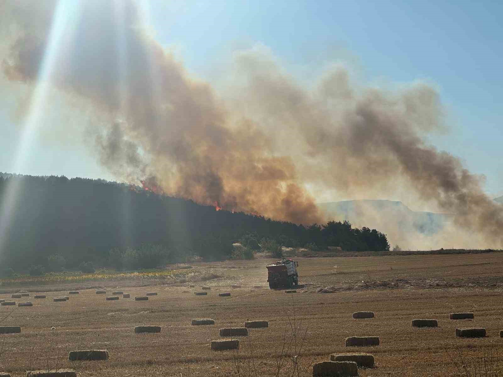 Bilecik’te anız yangını ormanlık alana sıçradı: Alevlere havadan ve karadan müdahale sürüyor 5 bilecikte aniz yangini ormanlik alana sicradi alevlere havadan ve karadan mudahale suruyor 1 3DWejmYL