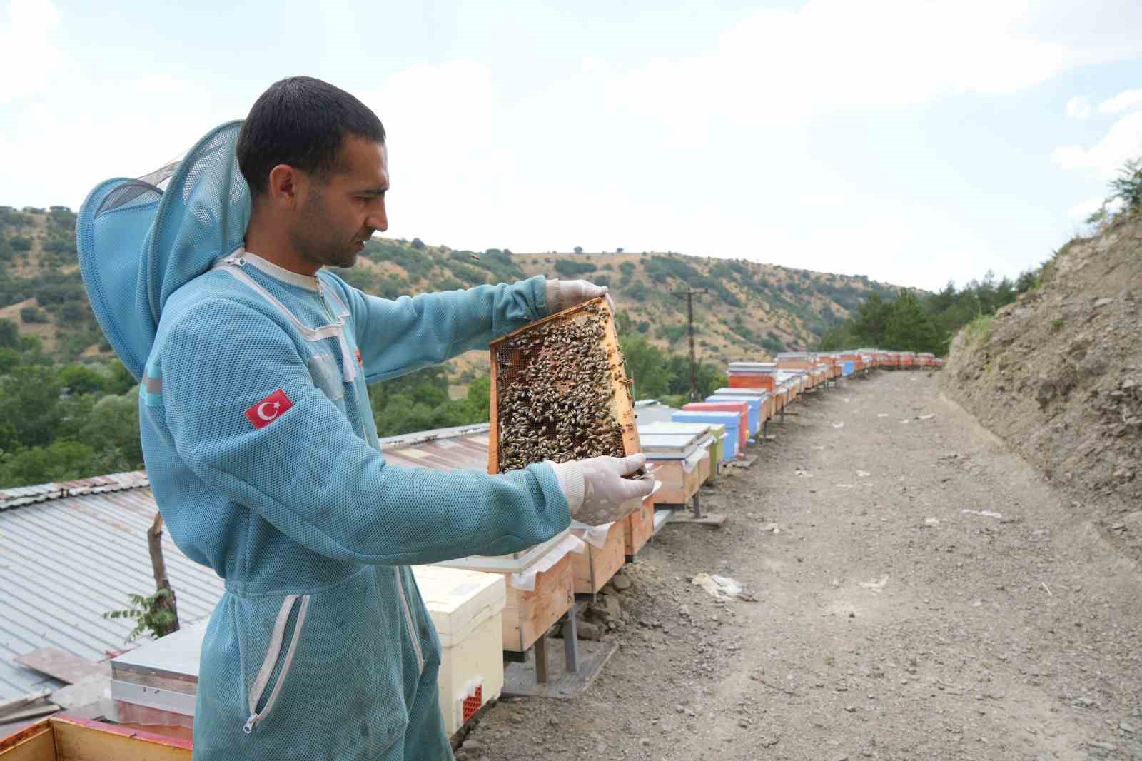 Bin 200 çeşit endemik bitki türüyle 4 kuşaktır süren gelenek: Kanyon balında 4 tonluk rekolte 9 bin 200 cesit endemik bitki turuyle 4 kusaktir suren gelenek kanyon balinda 4 tonluk