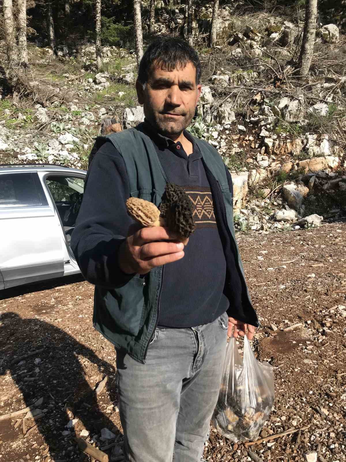 bin 800 rakimli daglardan toplanip kilosu bin 500 liradan satiliyor 19 BZKbKtnb