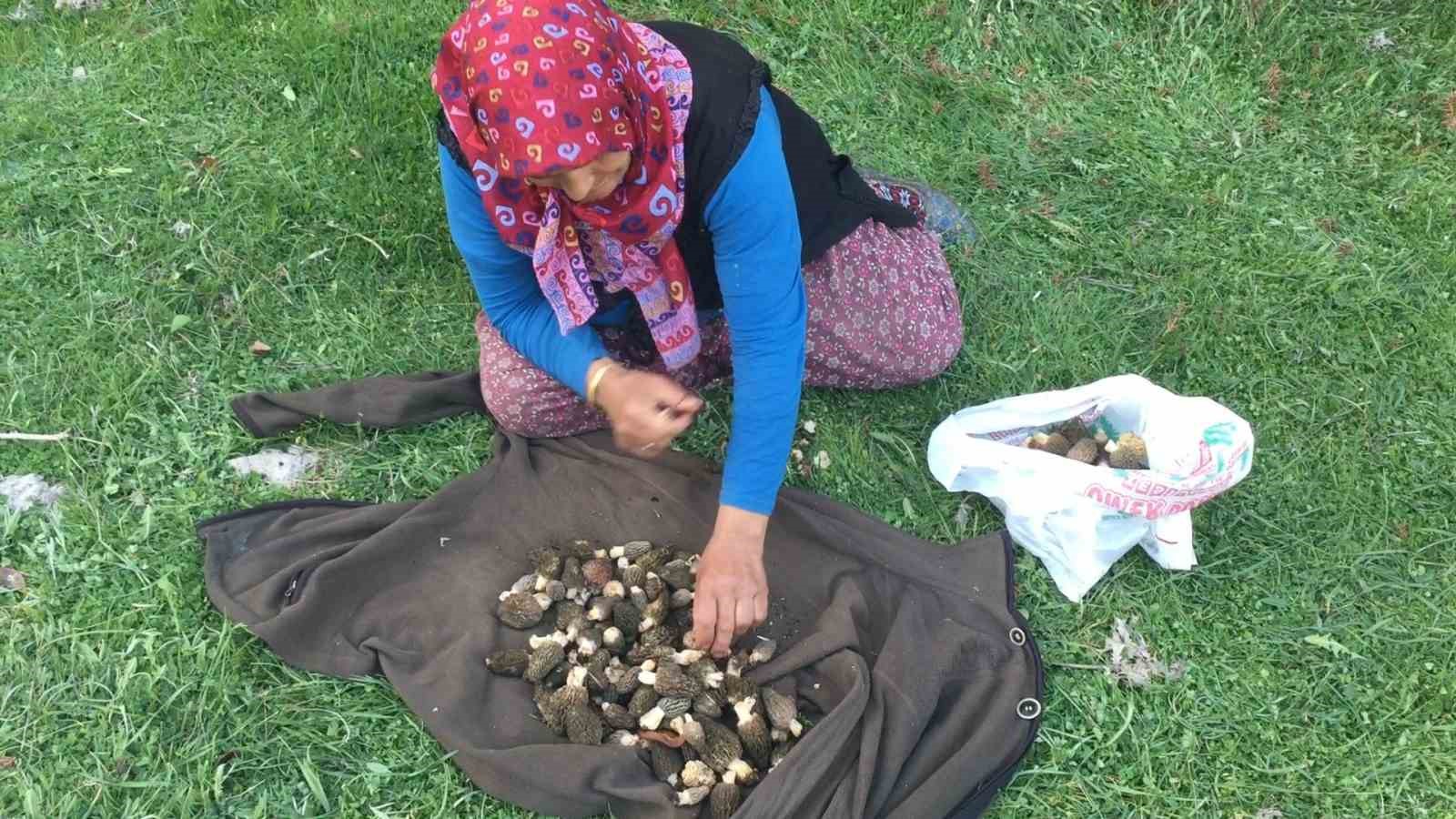 bin 800 rakimli daglardan toplanip kilosu bin 500 liradan satiliyor 9 MKeUuYYd