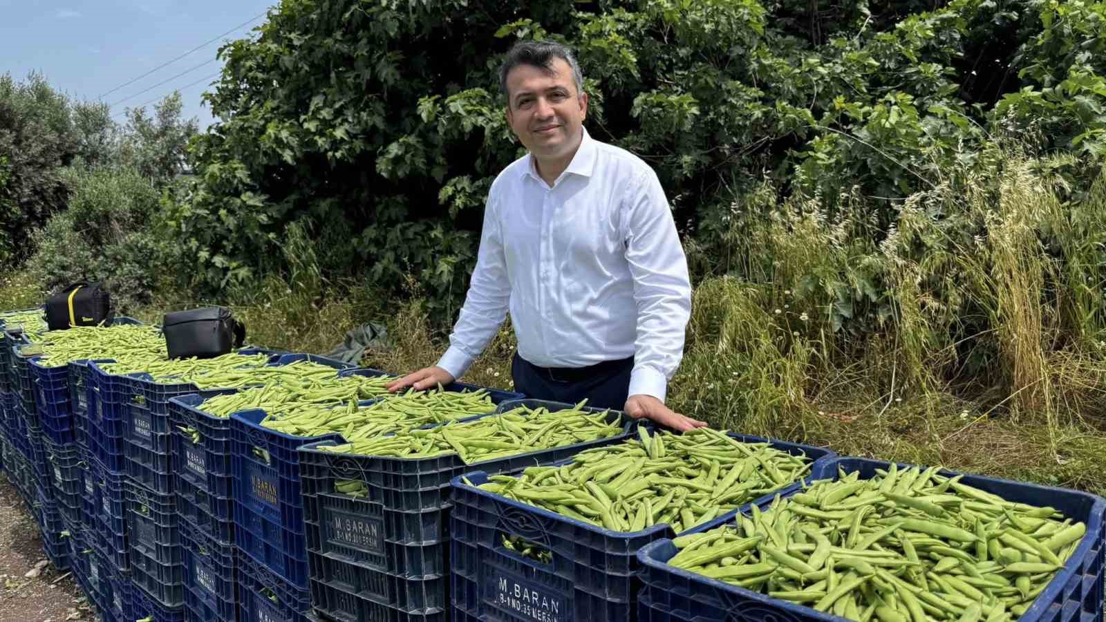 bin donum arazide ekimi yapilan fasulyede bereketli hasat 1 C9zdIQnB