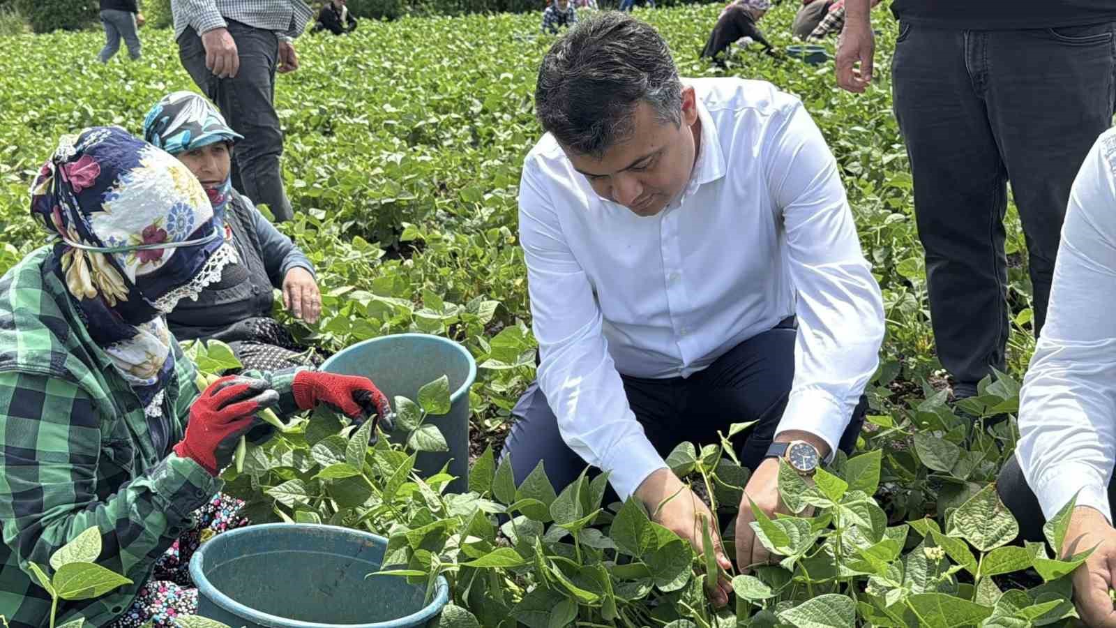 bin donum arazide ekimi yapilan fasulyede bereketli hasat 4 9RaCYzym