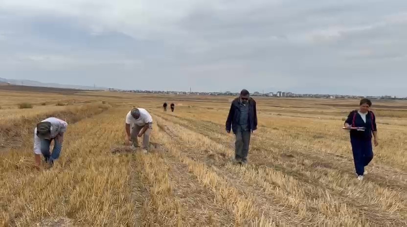 Bin yıllık Merzifon Savaşı’nın sır perdesi aralanıyor: Haçlı ordusunun kullandığı güzergâh ve bozguna uğradığı kalenin yeri bulundu 5 bin yillik merzifon savasinin sir perdesi aralaniyor hacli ordusunun kullandigi guzerg h ve bozguna ugradigi BWhmwshV