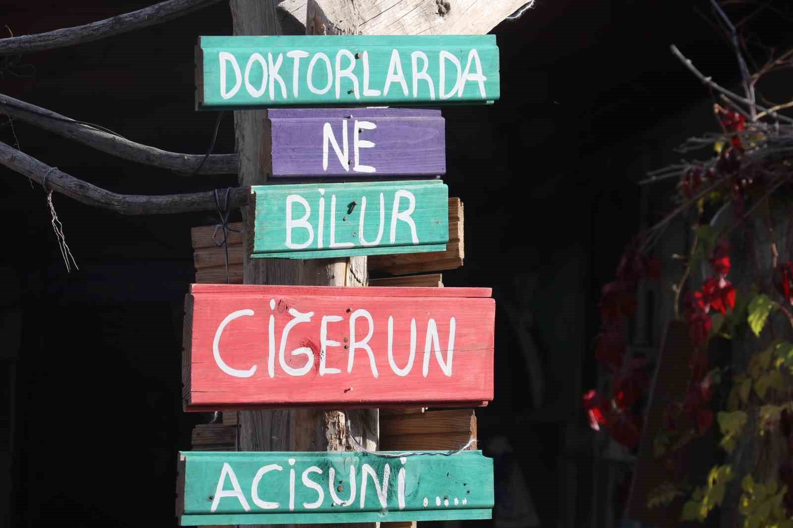 binalardan duvarlara renk cumbusu renkli koy 15 abEdm84f