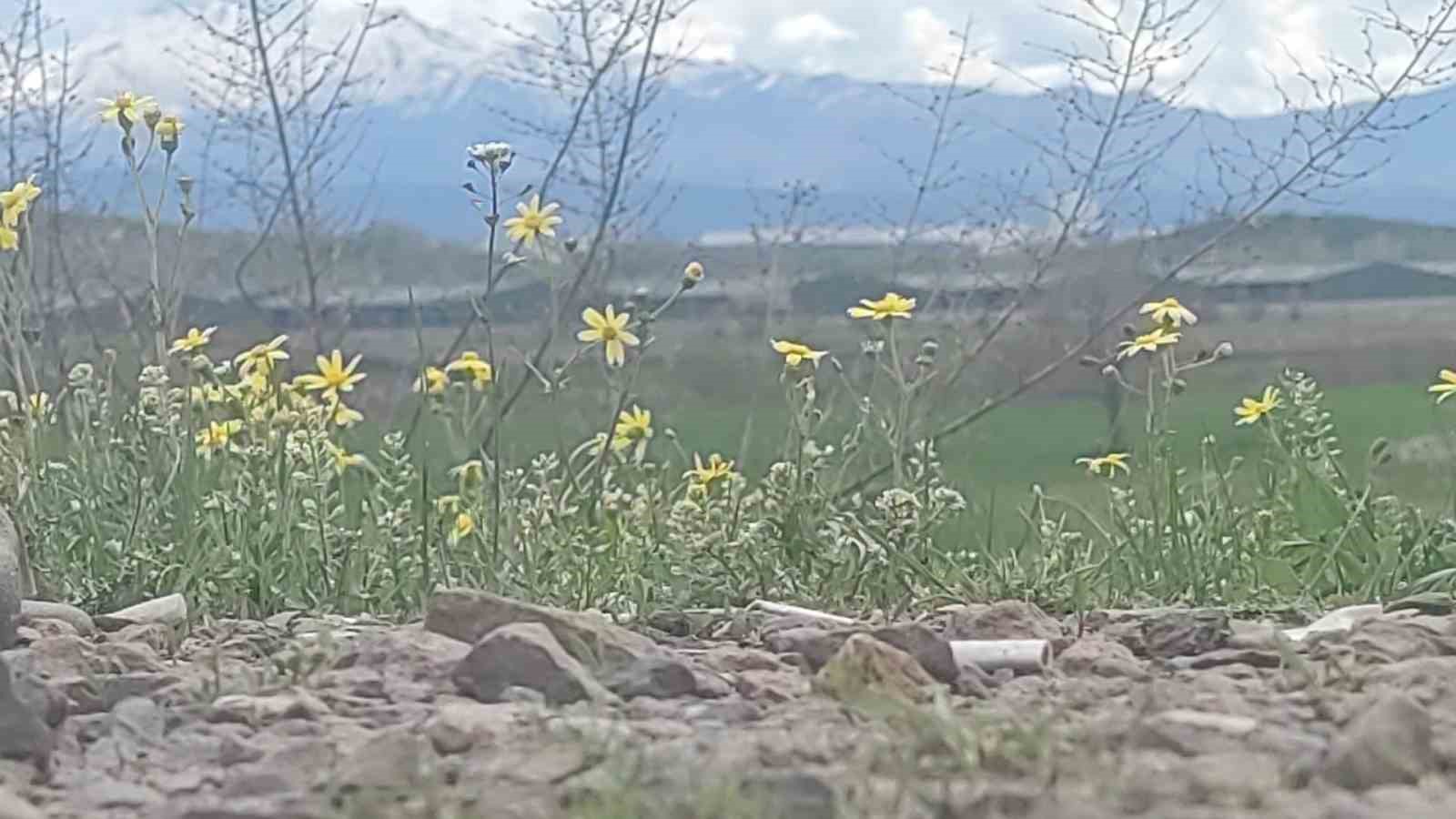 bingolde doga iki mevsimi ayni karede bulusturdu 1