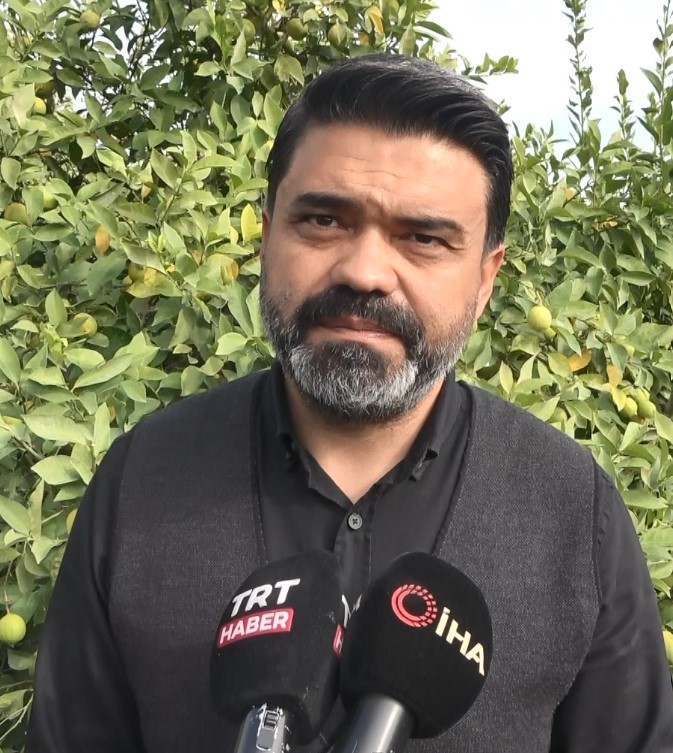 binlerce ailenin gecim kaynagi limonun baskentinde hasat zamani 11