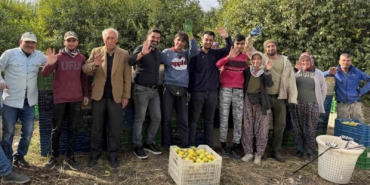 binlerce-ailenin-gecim-kaynagi-limonun-baskentinde-hasat-zamani-suncN8Bj.jpg