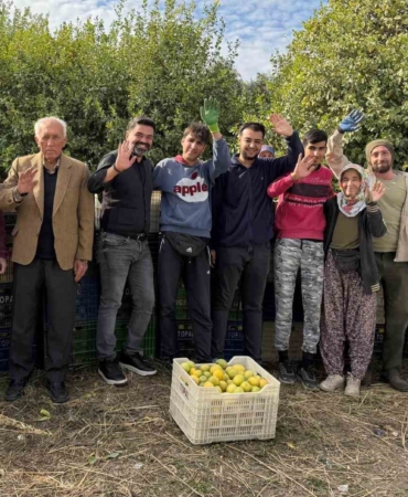 binlerce-ailenin-gecim-kaynagi-limonun-baskentinde-hasat-zamani-suncN8Bj.jpg