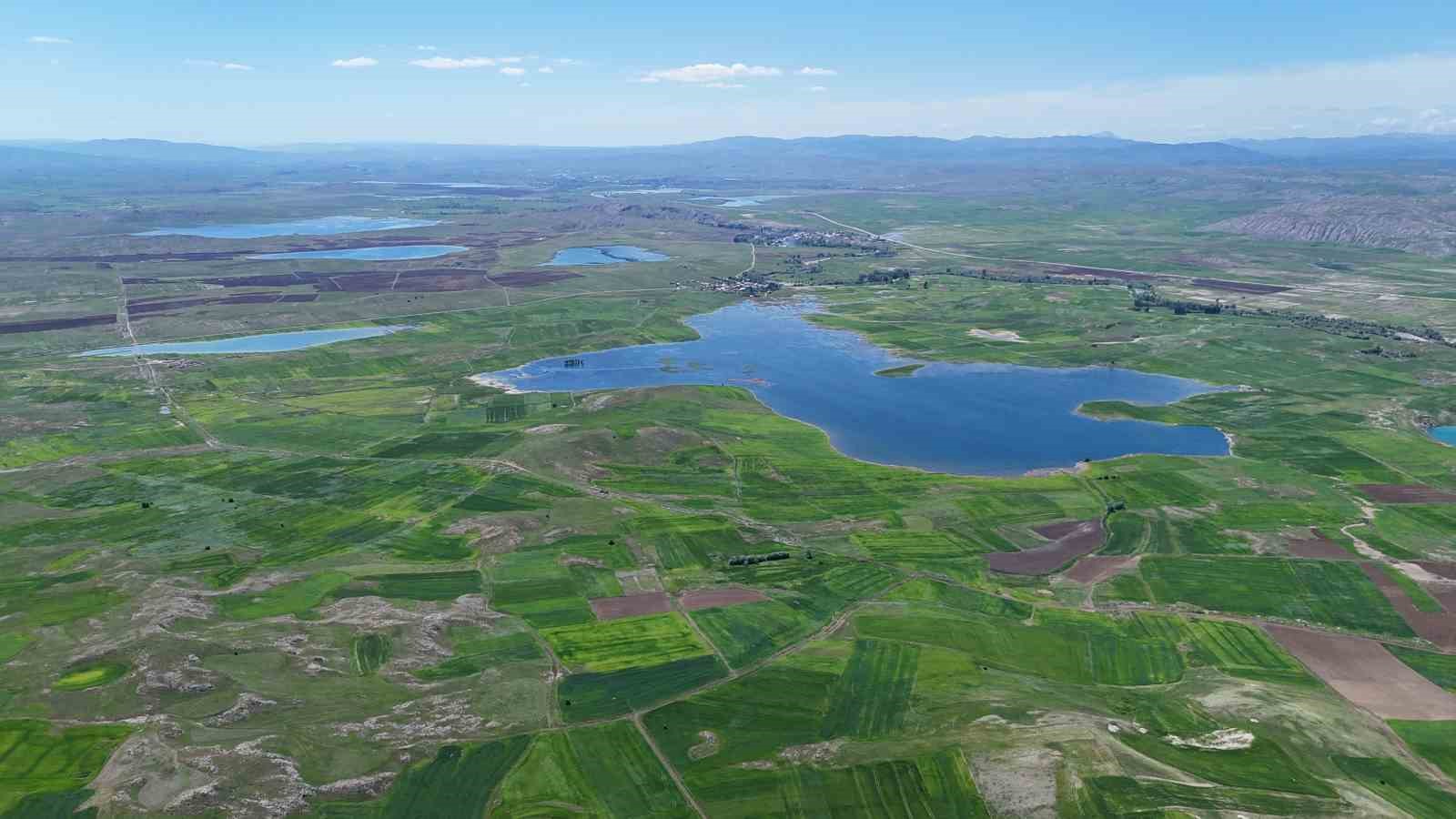 binlerce donum tarim arazisi sular altinda kaldi uzmani gelecek yillar icin ciftcileri uyardi 8 YCwfBnFK