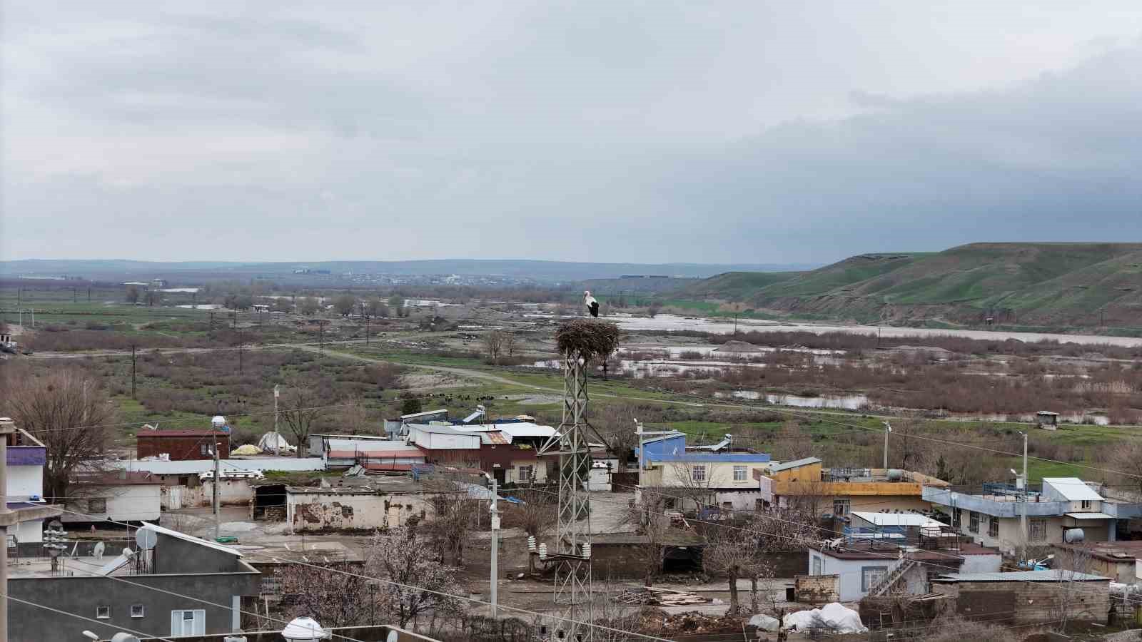 binlerce kilometre mesafe kateden leylekler yuvalarini diyarbakirda kuruyor 4 69nzXbbJ