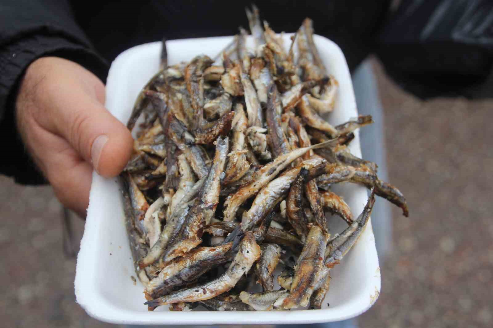 Binlerce vatandaş hamsi festivalinde buluştu: 7 ton hamsi tüketildi 12 binlerce vatandas hamsi festivalinde bulustu 7 ton hamsi tuketildi 8 fL56nmXg