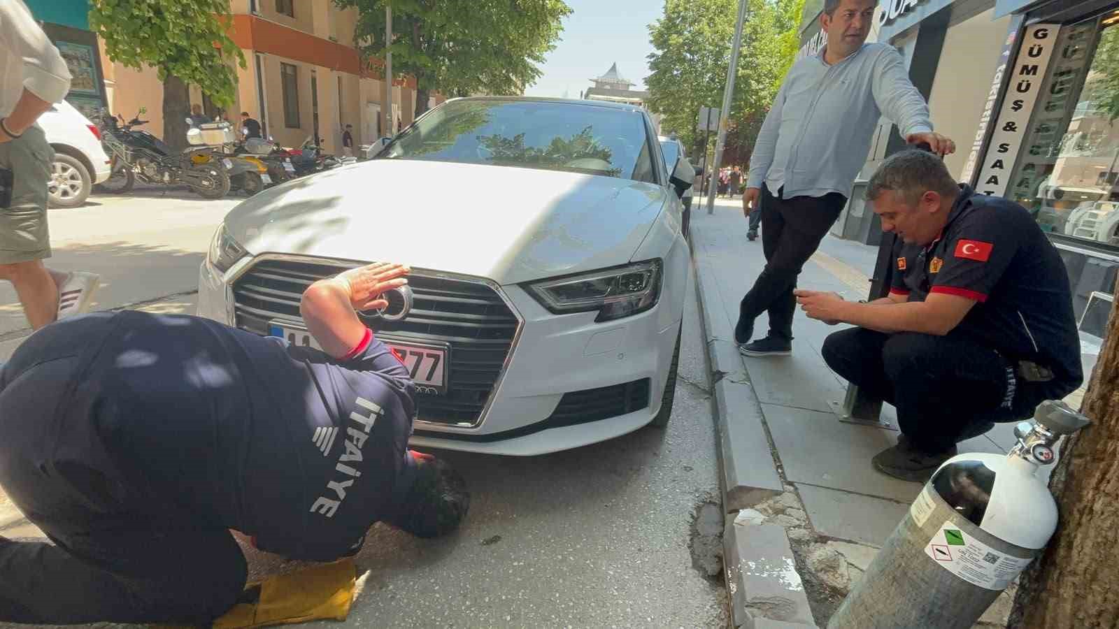 bir arabadan cikip baska arabalarin altina giren kedi itfaiyecilere zor anlar yasatti 0 4wWhDUdM