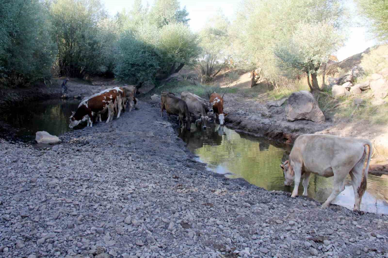 bir donem tamamen kuruyan nehir yeniden costu 1 ak9ZcU83