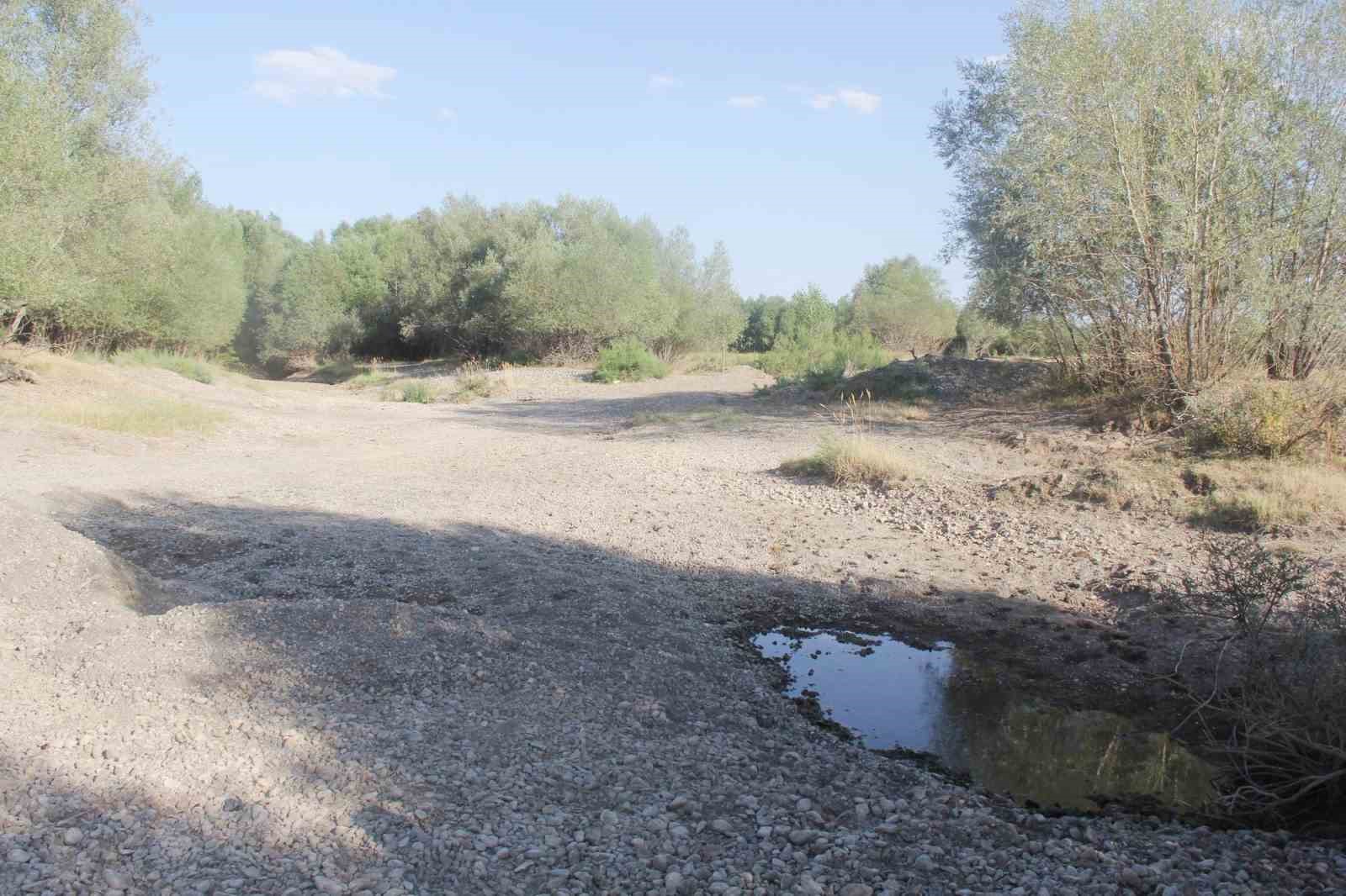 bir donem tamamen kuruyan nehir yeniden costu 5 pUJYNOs3