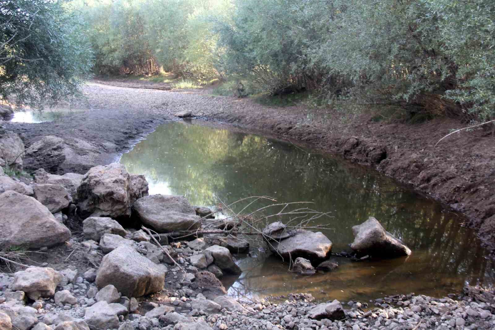 bir donem tamamen kuruyan nehir yeniden costu 6 7TOPtDpe