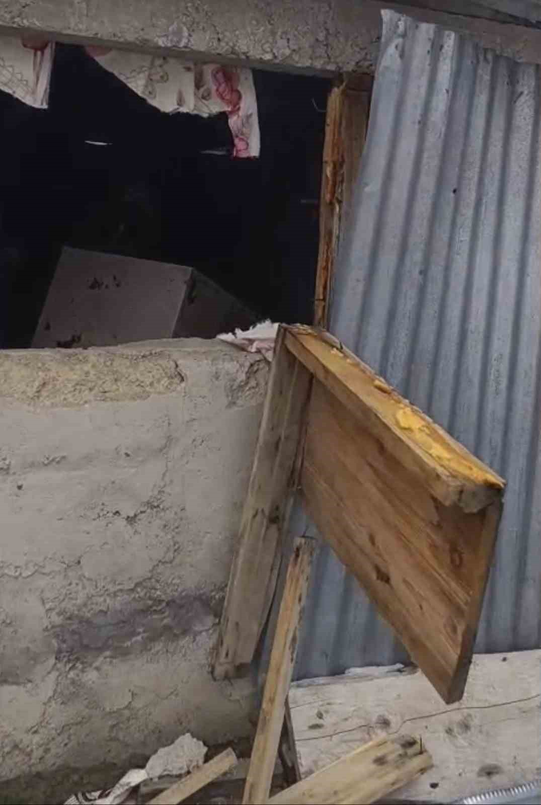 bir gunde 20 eve giren ayi yayla sakinlerini canindan bezdirdi 2 vacEyJFX