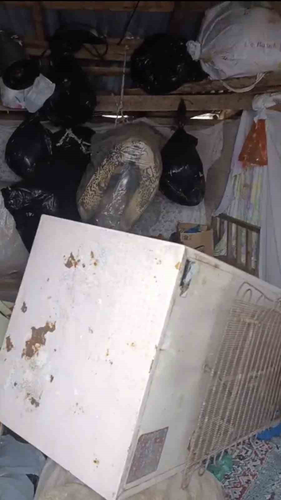 bir gunde 20 eve giren ayi yayla sakinlerini canindan bezdirdi 3