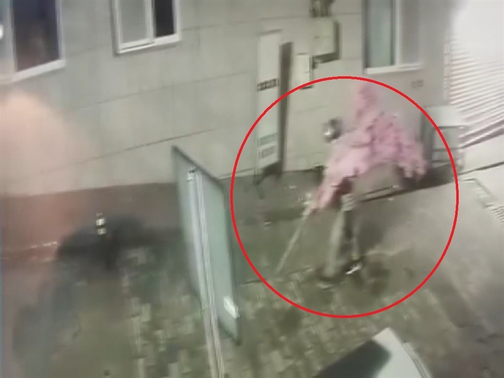 ‘Bir kafeden daha fazlası’ yazısını fark etti, ağacı sırtlayıp gitti O anlar kamerada 4 bir kafeden daha fazlasi yazisini fark etti agaci sirtlayip gitti o anlar kamerada 0 mD82vlae