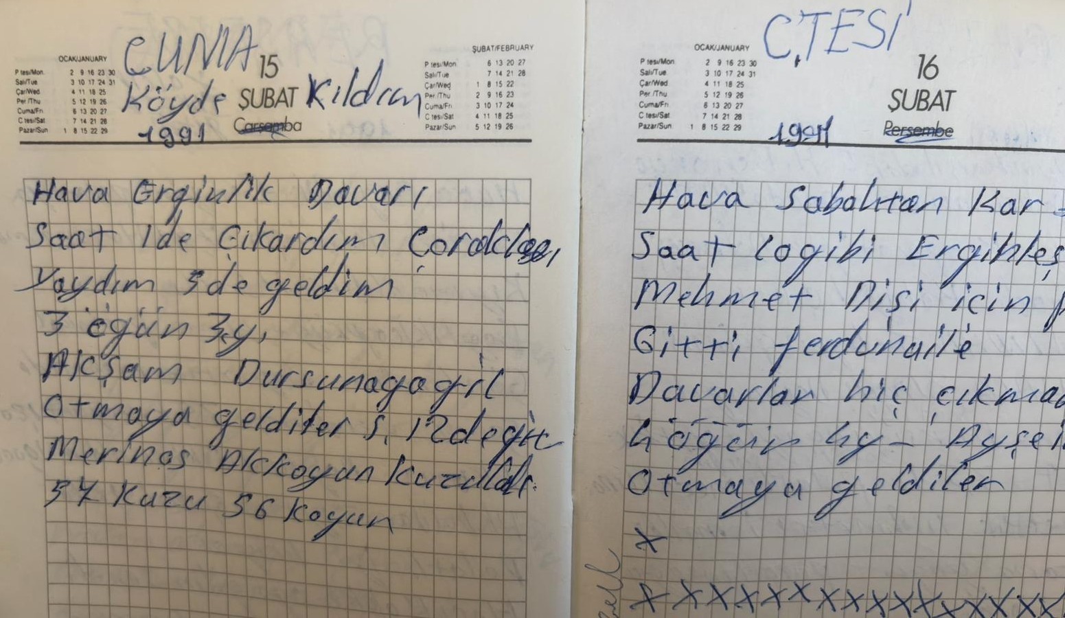 bir omru defterlere sigdirarak 59 yildir gunluk tutuyor 6