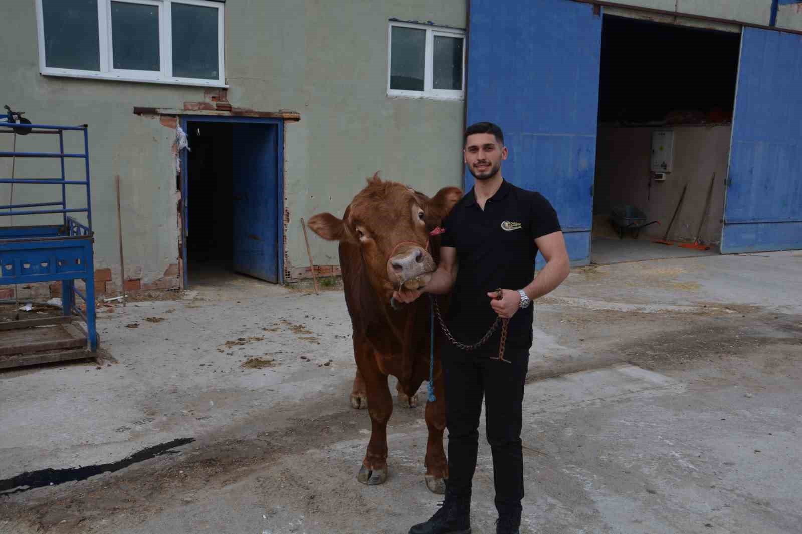 bir ton 140 kilogramlik kurbanlik dana 575 bin liraya alici buldu 3 vwg95LKI