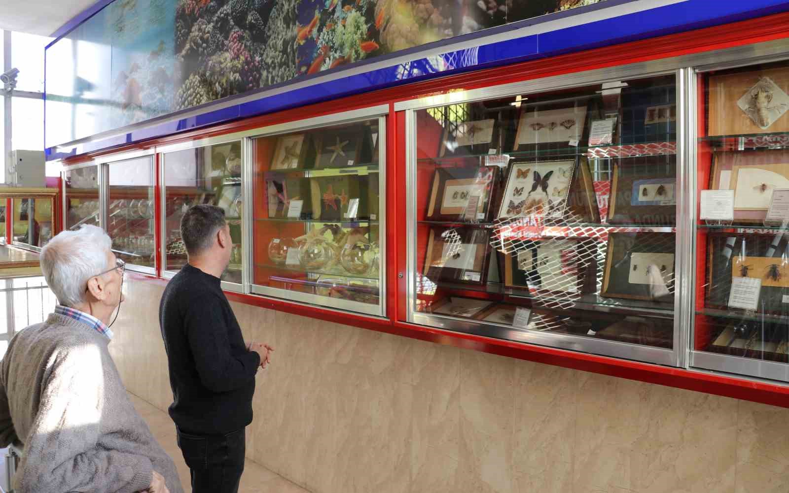 bir yumurta ile basladigi biyoloji merakini muzeye donusturdu 4 yO52IiEd
