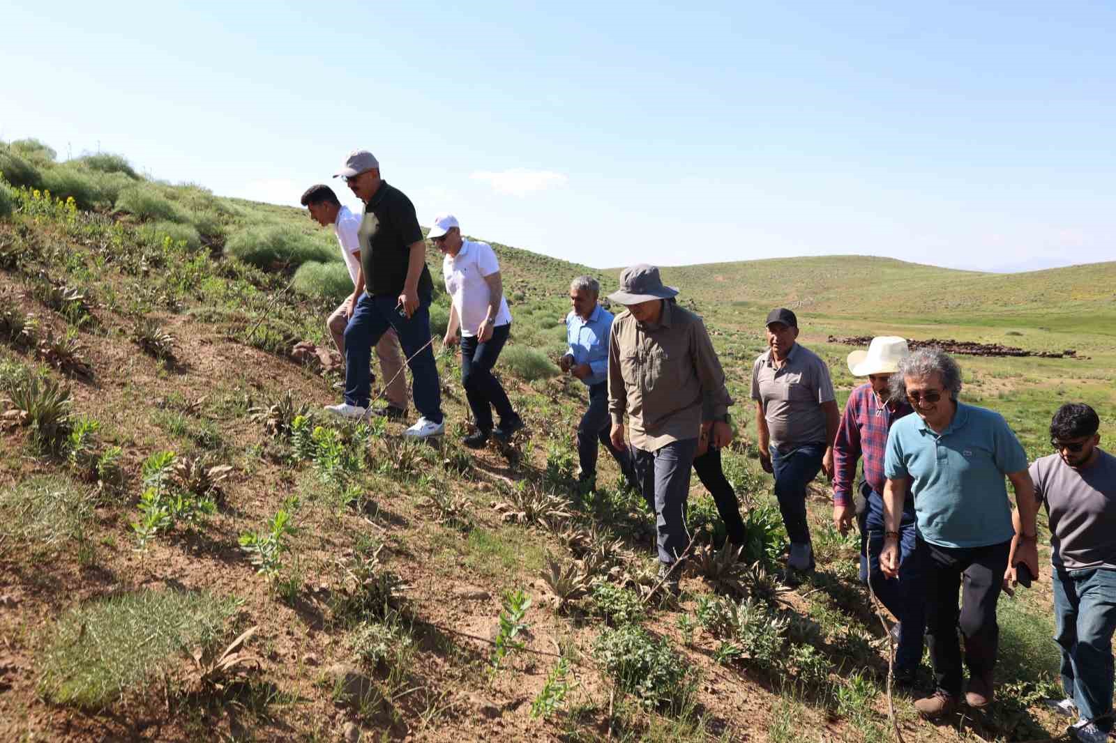 Bir zamanlar güvenlik nedeniyle kullanılamayan yaylalar, bugün hayvancılığın merkezi oldu 6 bir zamanlar guvenlik nedeniyle kullanilamayan yaylalar bugun hayvanciligin merkezi oldu 2 ItLNXmjd