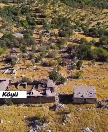 bir-zamanlar-korkunun-hakim-oldugu-gabarda-simdi-umut-ve-uretim-yukseliyor-IG6d1Aya.jpg