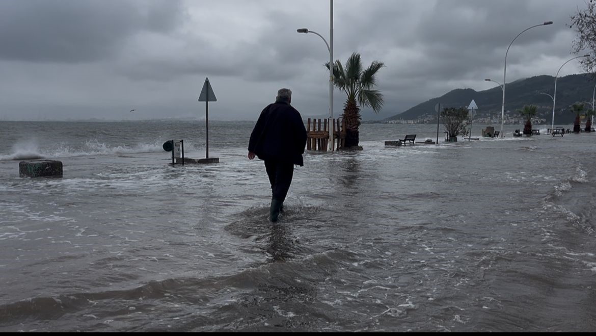 birazdan baliklar gelir dedi kuslar sahil yolunda avladi 1