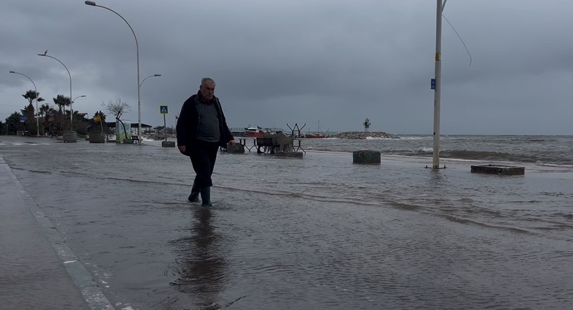 birazdan baliklar gelir dedi kuslar sahil yolunda avladi 5 YLuIRVnU