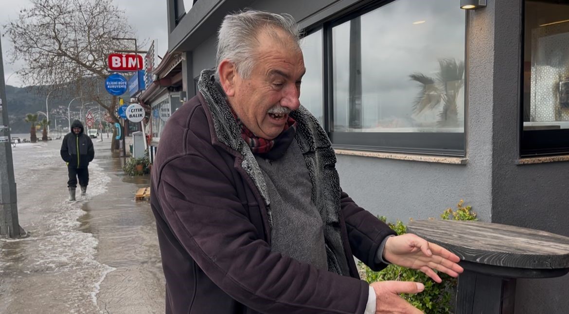 birazdan baliklar gelir dedi kuslar sahil yolunda avladi 6 efuzIZTy