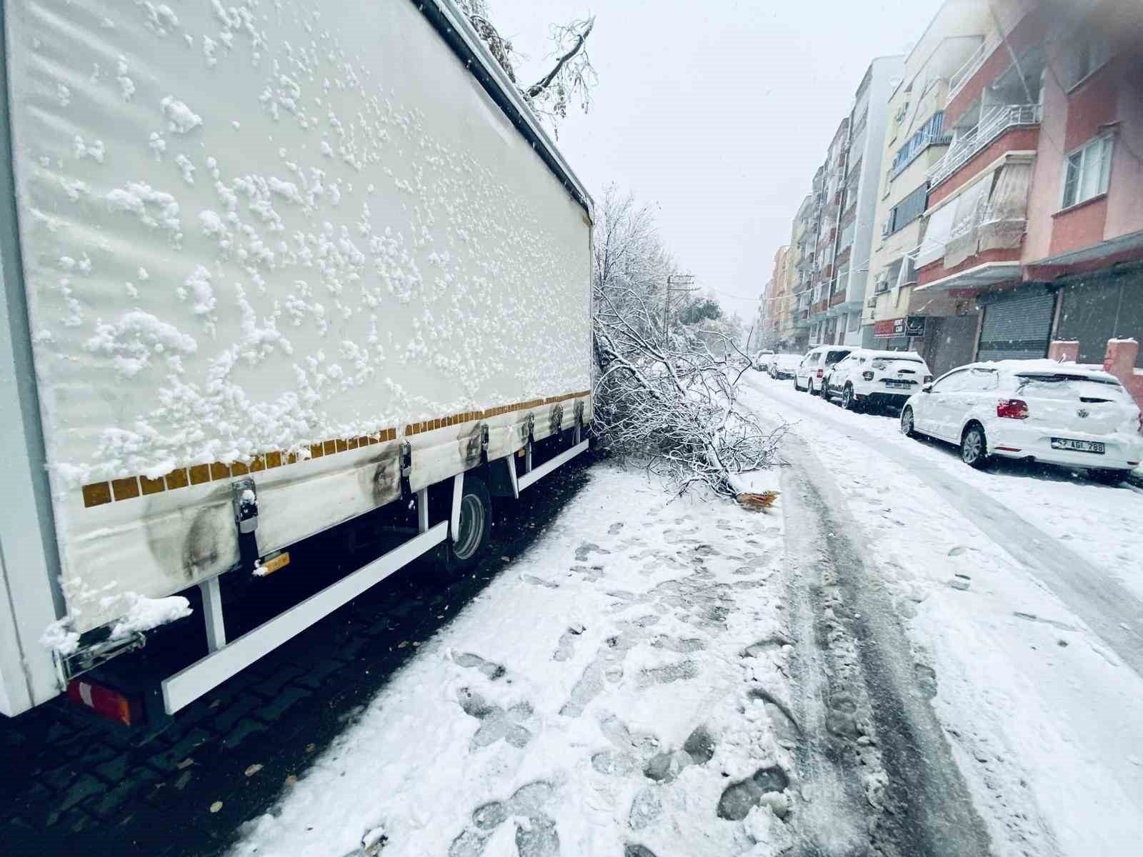birecikte karin agirligina dayanamayan agac dallari araclarin uzerine devrildi 2 9pdZTSi3