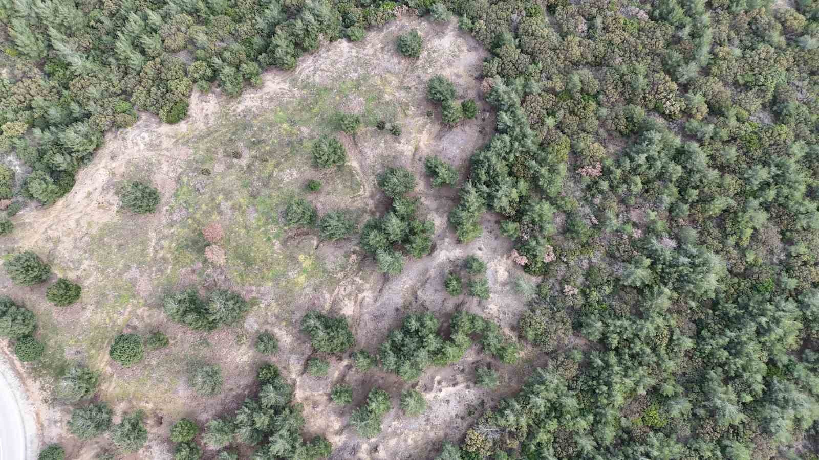 Birinci Dünya Savaşı’ndaki en meşhur Türk askeri fotoğraflarından biri olan fotoğrafın 125. Alay’a ait olduğu ortaya çıktı 8 birinci dunya savasindaki en meshur turk askeri fotograflarindan biri olan fotografin 125 alaya ait dk84qw2l