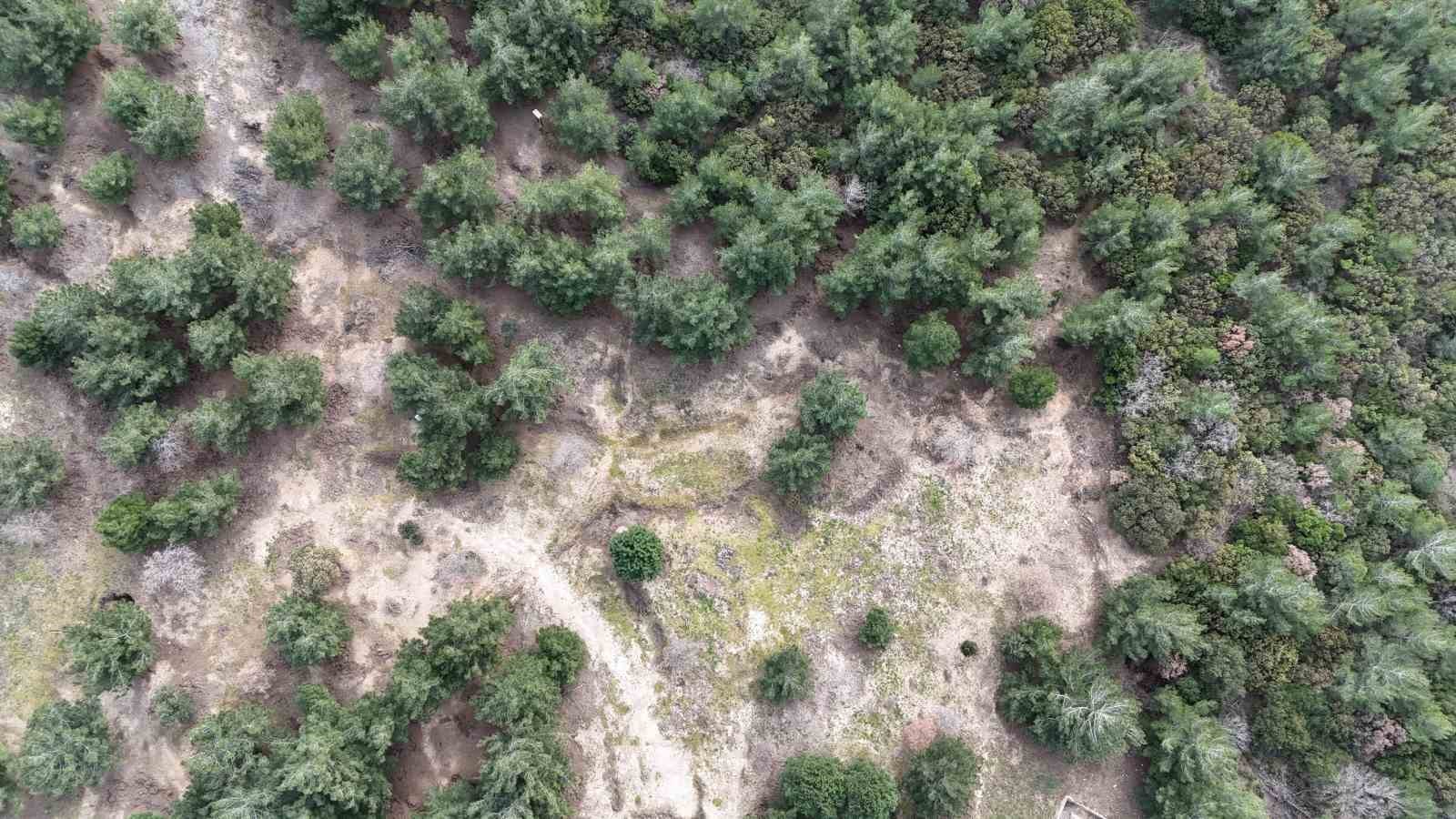 Birinci Dünya Savaşı’ndaki en meşhur Türk askeri fotoğraflarından biri olan fotoğrafın 125. Alay’a ait olduğu ortaya çıktı 7 birinci dunya savasindaki en meshur turk askeri fotograflarindan biri olan fotografin 125 alaya ait sKjBzVNS