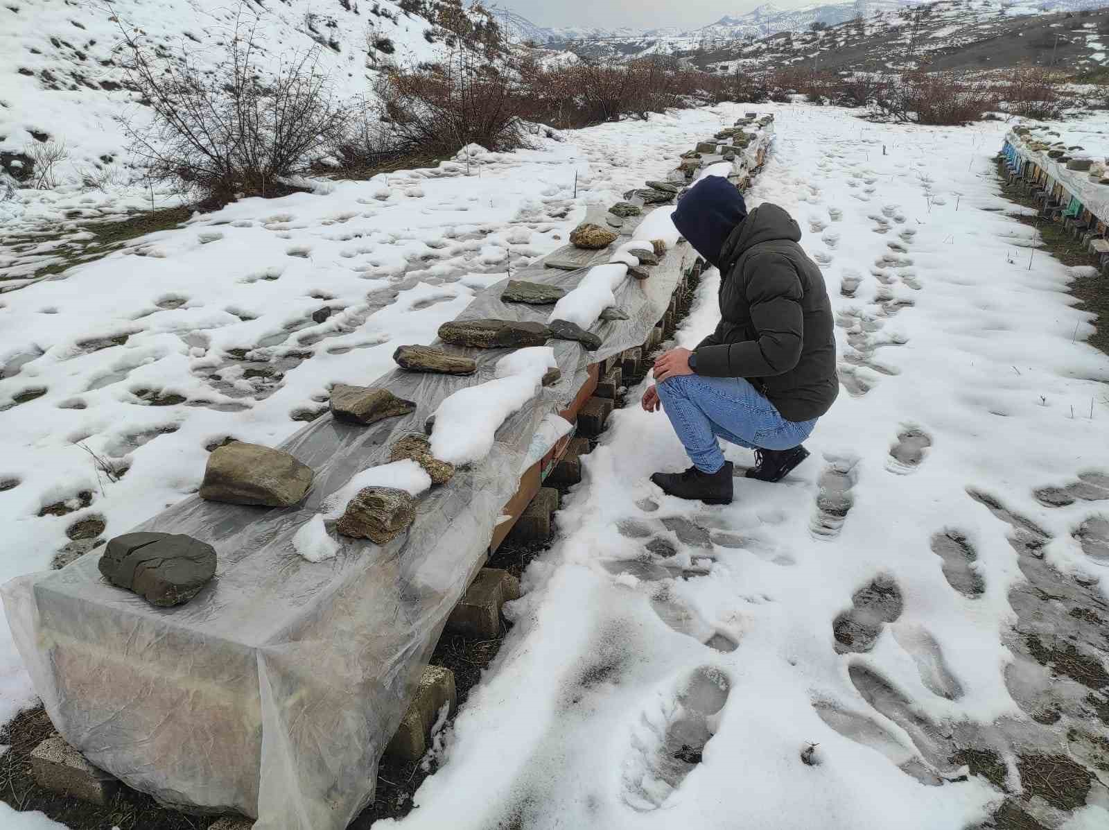 birincilik getiren arilarini kis sartlarinda ozenle koruyor 0