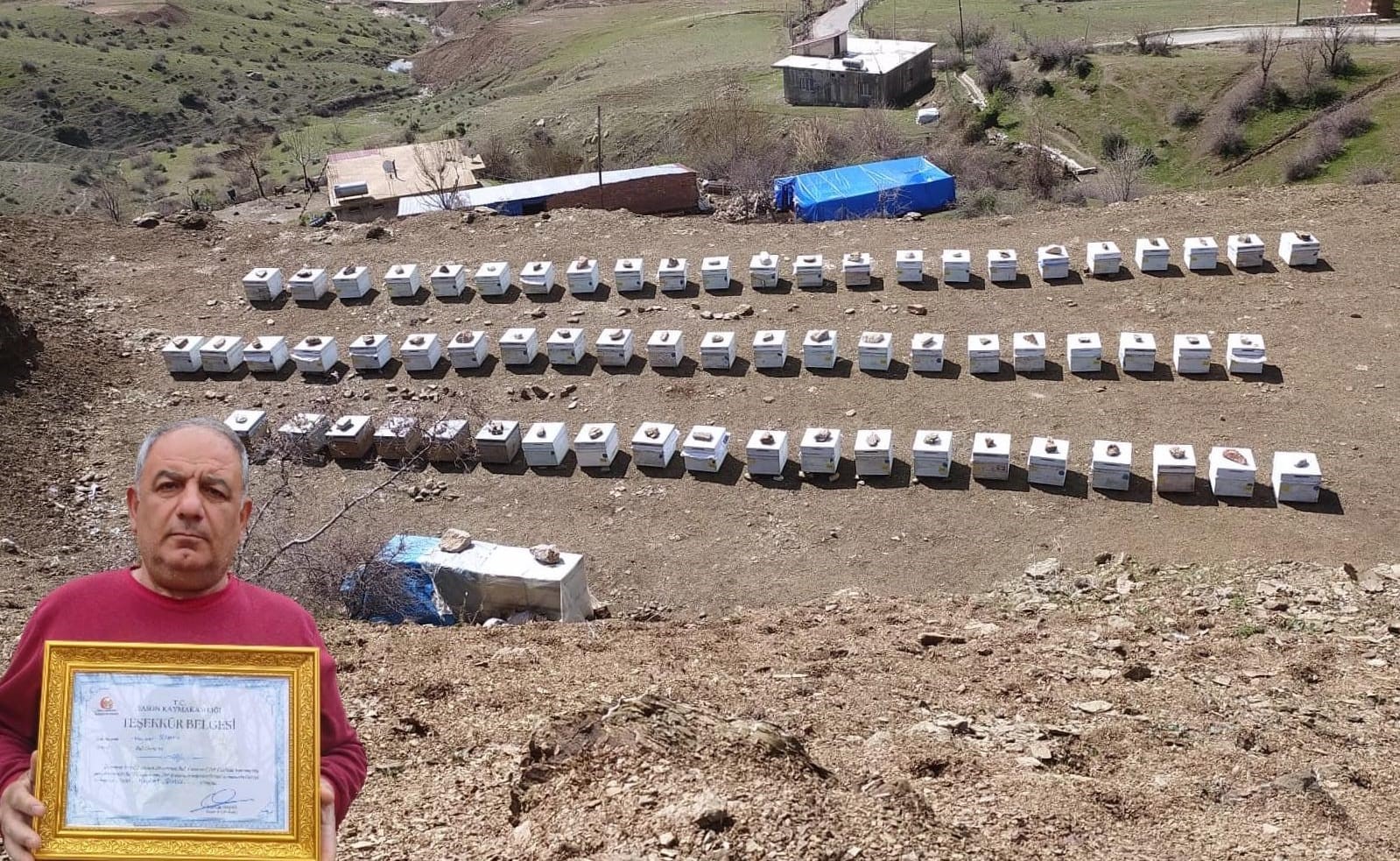 birincilik getiren arilarini kis sartlarinda ozenle koruyor 1 l6zHnFXF