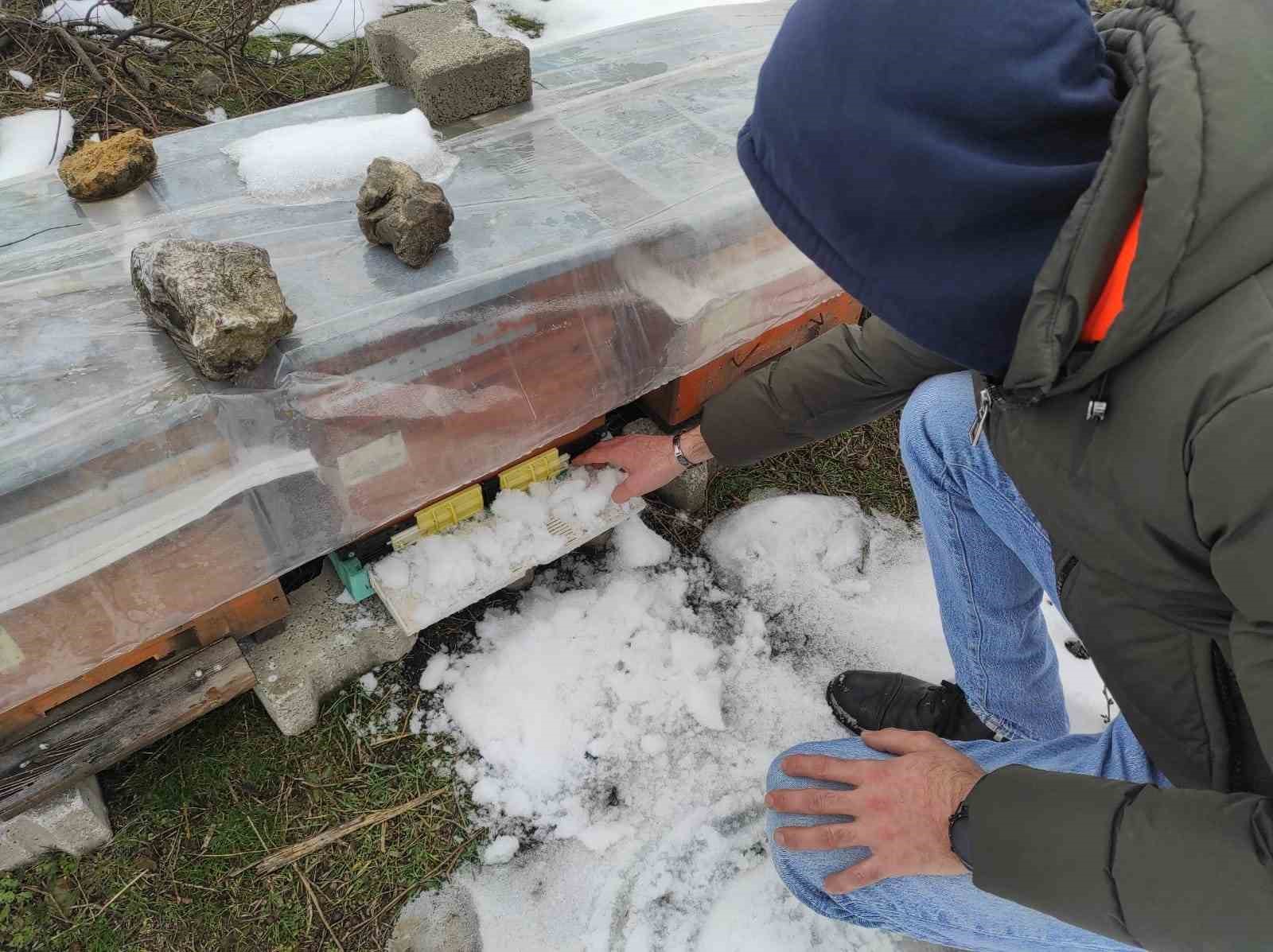 birincilik getiren arilarini kis sartlarinda ozenle koruyor 2 YdjzcQa2